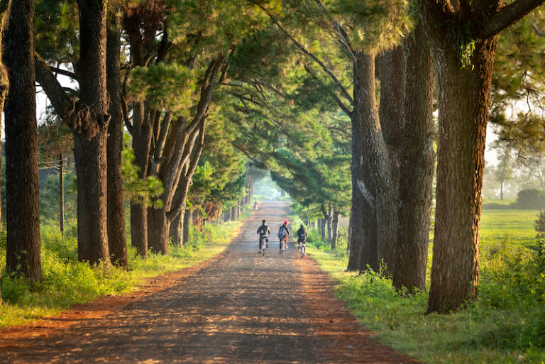 TOUR LỄ : MĂNG ĐEN – PLEIKU – TÀ ĐÙNG