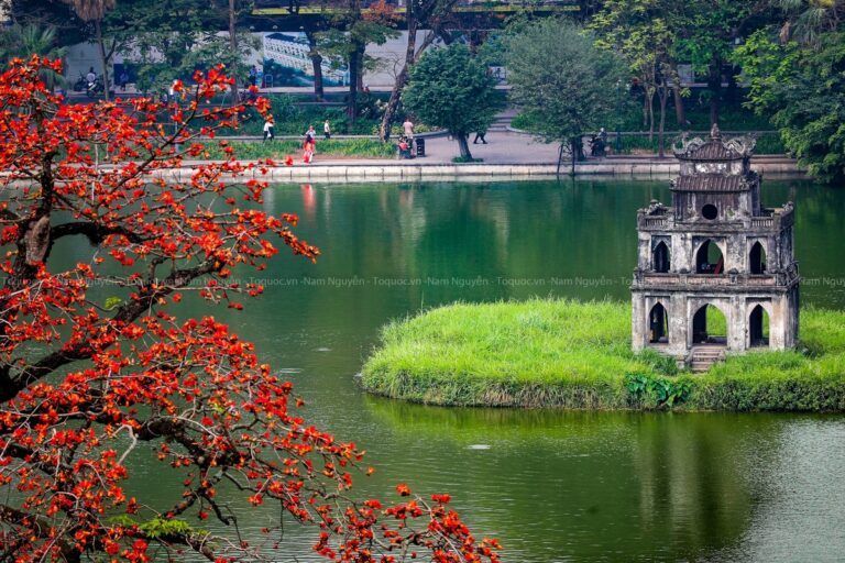 TOUR BAY MIỀN BẮC: HÀ NỘI – NINH BÌNH – HẠ LONG – HÀ NỘI – SAPA – LÀO CAI | 5N4Đ